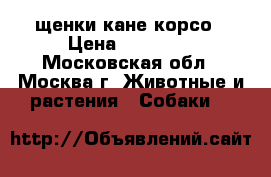 щенки кане корсо › Цена ­ 30 000 - Московская обл., Москва г. Животные и растения » Собаки   